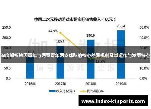 深度解析埃因青年与阿贾青年两支球队的核心差异机制及其运作与发展特点